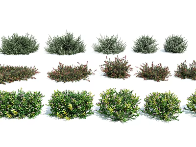Different Varieties of Garden Shrubs with Various Foliage Shapes and Colors for Landscaping 3d model