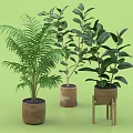 Various Indoor Potted Plants in Terracotta Pots and One on Wooden Stool Green Background