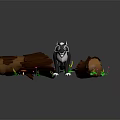 Gray Wolf Standing on Lush Green Grass with Logs Mushrooms and Small Flowers
