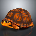 Artistic Painted Turtle With Geometric Patterns On Vibrant Orange Brown Shell