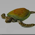 Realistic Colorful Sea Turtle With Vibrant Orange Green Shell And Spotted Flippers
