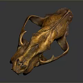 Detailed Animal Skull Fossil With Brown Texture And Canine Teeth Structure