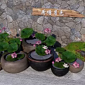 Beautiful Garden Ornaments With Lotus Plants Ceramic Pots Stone Wall And Wooden Sign