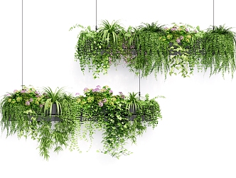 Modern Hanging Basket Hanging Basket Green Plant Potted Vine Man Combination 3d model