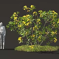 Two Human Silhouettes Standing Beside Tree With Yellow Flowers And Grass Patch 3d model