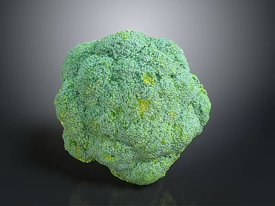 Fresh Green Broccoli Vegetable with Vibrant Color and Nutritious Quality 3d model