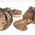 Natural Wood Stumps With Rustic Texture And Organic Shapes For Decor