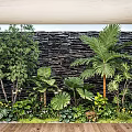 Indoor Landscape with Stone Wall Lush Palm Tree and Various Green Plants on Wooden Floor