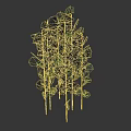 Tall Green Bamboo Plants With Lush Leaves And Slender Stalks For Garden Landscaping