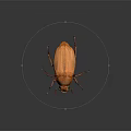 Detailed Brown Beetle With Shiny Exoskeleton And Long Legs On Dark Surface