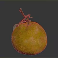 Fresh Ripe Yellow Pomelo Fruit With Green Leaves And Brown Stem