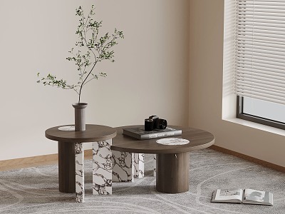 Modern coffee table decorations model