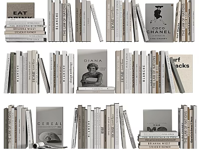 Well Organized Bookshelf With Arranged Books Different Sizes And Literary Titles 3d model