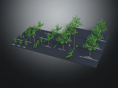 Neatly Arranged Landscape Tree Models On Black Platform With Various Sizes 3d model