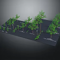 Neatly Arranged Landscape Tree Models On Black Platform With Various Sizes