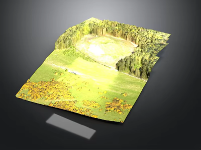 3D Landscape Model With Grassland Trees Circular Clearing And Yellow Flowers 3d model