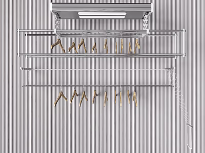 Hanging Double Layer Clothes Hanger Rack With Metal Frames And Wooden Hangers 3d model