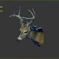 Golden Deer Head Animal Wall Decor for Stylish Home Interior Decoration