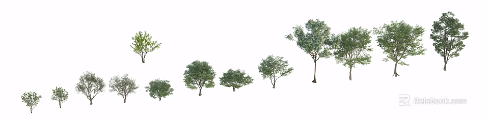 Various Arbor Trees With Different Sizes And Green Foliage In A Row 3d model