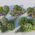 Lush Garden Flowers And Green Plants With Various Shrubs And Colorful Blooms
