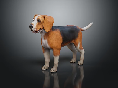 Beagle Puppy With Brown Black And White Fur Standing On Black Background With Reflection 3d model
