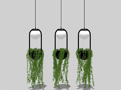Hanging Basket Plants With Black Frames White Spheres Trailing Green Leaves On Gray Background 3d model