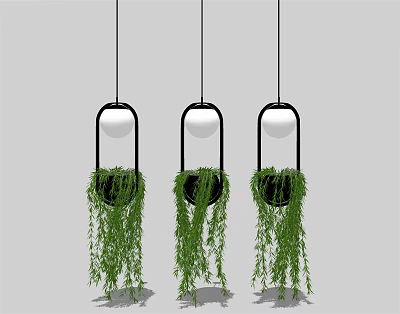 Hanging Basket Plants With Black Frames White Spheres Trailing Green Leaves On Gray Background 3d model