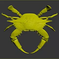 Vibrant Blue Green Crab With Red Tip Claws Detailed View