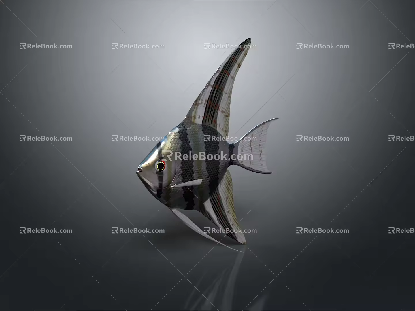 Fish Freshwater Fish Swallow Fish Egyptian Swallow Fish Sea Fish Animal Game Animal Cartoon Animal 3d model
