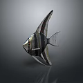Fish Freshwater Fish Swallow Fish Egyptian Swallow Fish Sea Fish Animal Game Animal Cartoon Animal 3d model