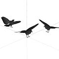 Flying Animals Bird Crow 3d model