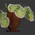 Indoor Wooden Planter With Green Monstera Leaves And Decorative Tray