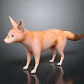 Realistic 3D Fox Model with Light Brown Fur Large Ears and Long Tail