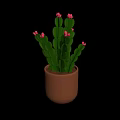 Green Cactus Plant with Pink Flowers Growing in Brown Ceramic Pot