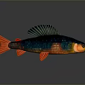 Fish Cartoon Fish Anime Fish Stylized Fish Fantasy Style Fish Freshwater Fish Ornamental Fish 3d model