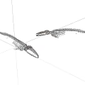 Two Intricate Fish Skeleton Models Showcasing Anatomical Structure on White Background