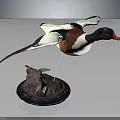Wooden Display Furniture With Flying Duck Specimen On Decorative Base Stand