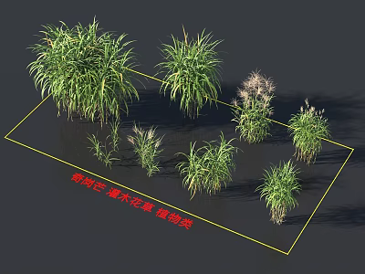 Modern Reed And Herbaceous Flowering Plants For Garden Landscaping Decor 3d model