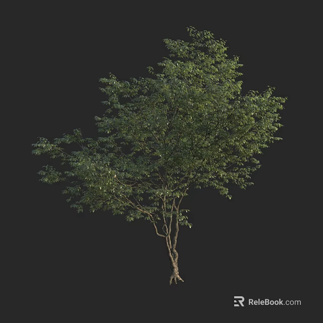 Healthy Arbor With Lush Green Leaves And Strong Trunk And Roots 3d model 