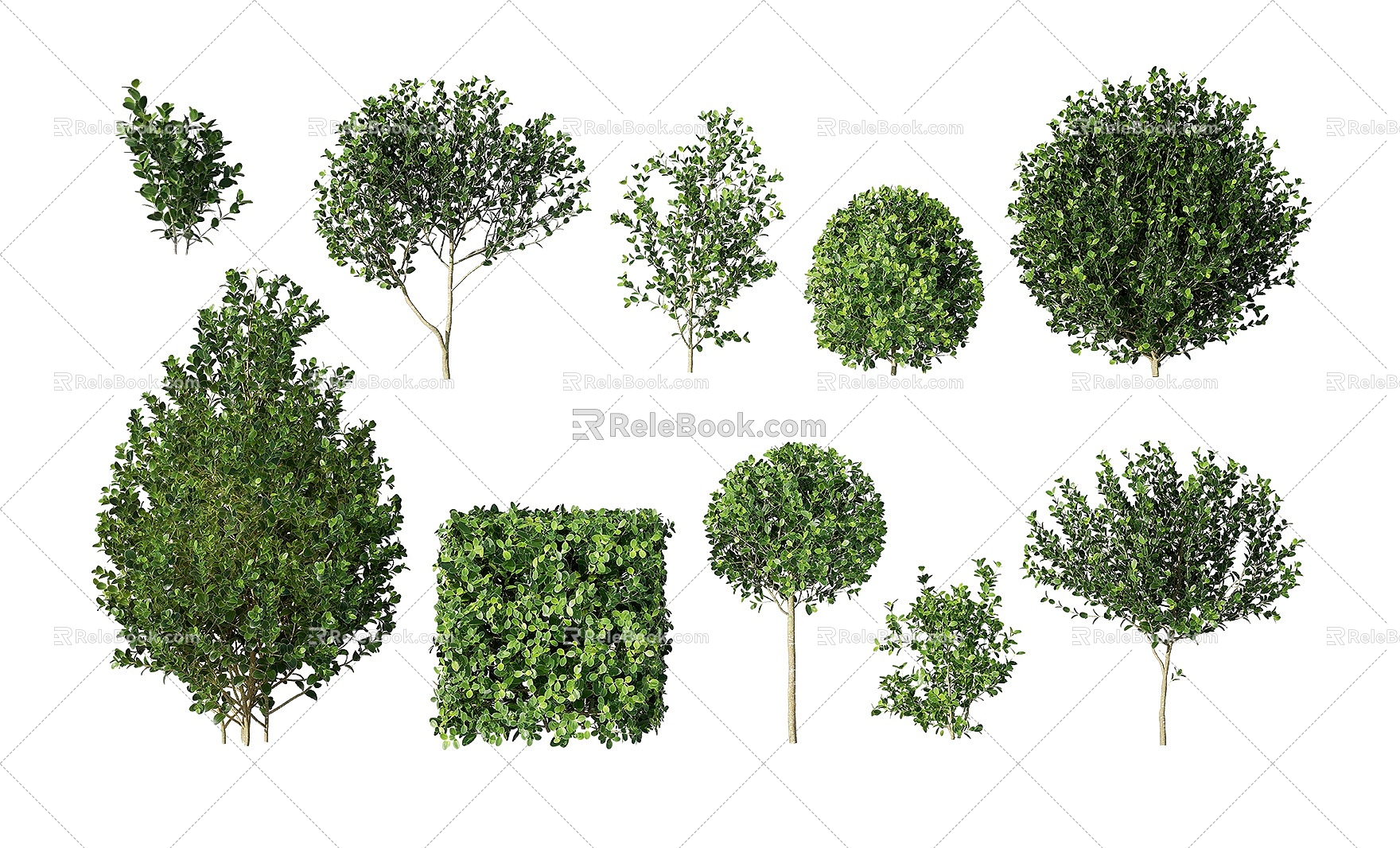 Modern shrubs shrubs hedgerow shrubs ball pruning shrubs ornamental shrubs courtyard shrubs ornamental shrubs 3d model