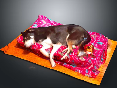 Adorable Dog Resting On Soft Pink Patterned Blanket Over Wooden Mat 3d model