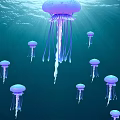 Group of Purple Jellyfish Floating in Deep Blue Ocean Water with Sunlight Rays