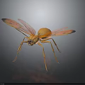 Detailed Orange Flying Ant With Spotted Wings On Dark Reflective Surface