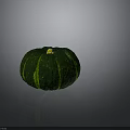 Green Pumpkin Plant With Green Stripes And Yellow Stem On Gray Surface
