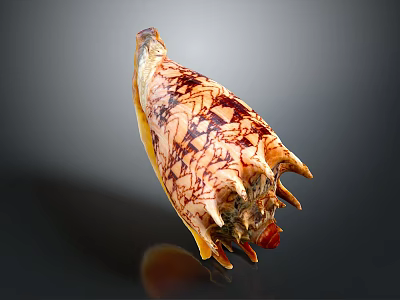 Detailed Animal Organ Structure With Fine Hair And Colorful Surface Patterns 3d model