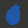 Realistic 3D Rendered Human Heart Organ Model With Red Color And Detailed Structure