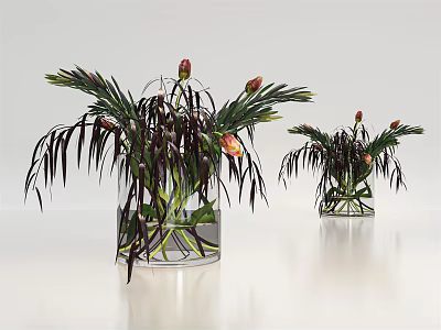 Glass Vases With Water Red Flowers And Green Leaves On White Background 3d model