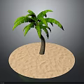 Vibrant Green Palm Tree With Lush Leaves Standing On Isolated Sandy Surface