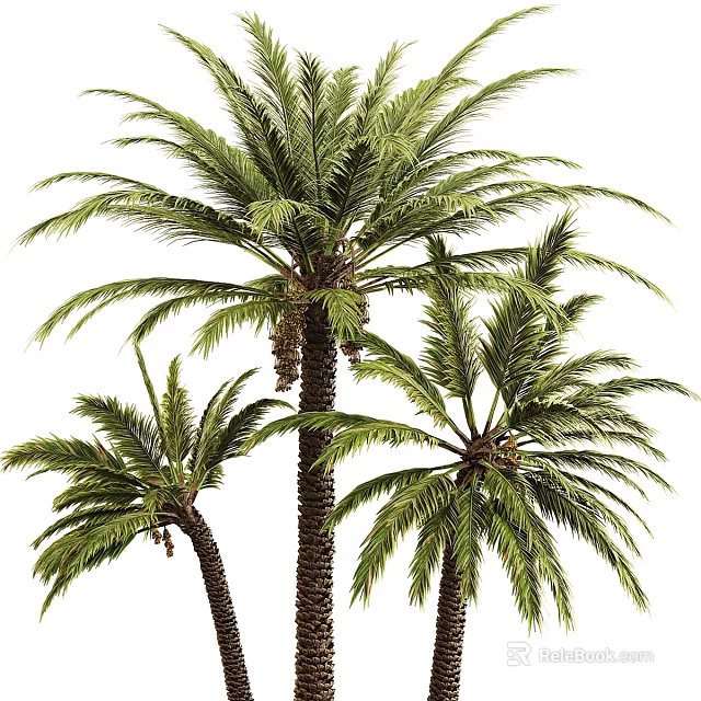 Artificial Palm Tree Ornament Decoration Set For Home Indoor Outdoor Decor 3d model 