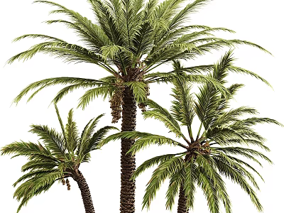 Artificial Palm Tree Ornament Decoration Set For Home Indoor Outdoor Decor 3d model